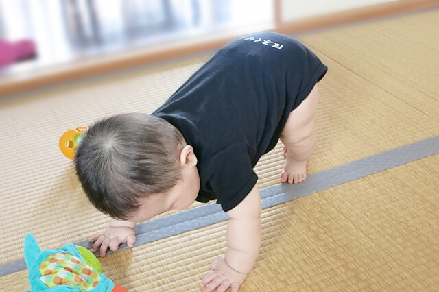 高ばい