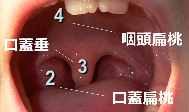 Image of 88bd9504cccc37fec138a1d909d8d1ea 88bd9504cccc37fec138a1d909d8d1ea