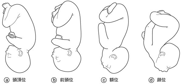 Image of fadc28cd5d283fe502d55309c621cd1a fadc28cd5d283fe502d55309c621cd1a