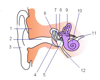 Image of 812e291c9df44b47fb0e8c0ac0d0017c 812e291c9df44b47fb0e8c0ac0d0017c