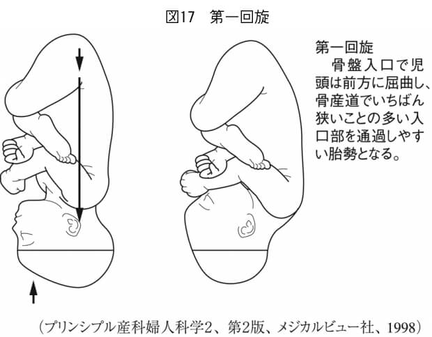 第一回旋